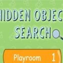 Hidden Object Search