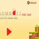Snowball The Cat Catch and Go